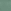 Green Shark
