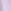 Lilac Purple