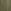Khaki Green