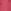 Pink Tonal Palm Graphic
