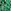Green Animal Print