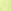 Lime Yellow
