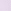 Delicate Violet Purple