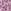 Pink Animal