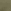 Desert Cactus Green