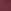 Plum Purple