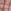 Pink Geometric