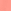 Pink Coral