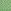 Mid Green Woodblock