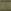Khaki Green