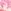 Pink Ombre Tropical Print