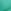 Aqua Embellished Palm