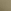 Desert Cactus Green