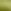 Peergroen