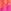 Pink Tropical