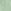 Green Embroidered