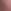 Nostalgia Rose Pink