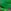 Green Tropical Print