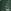 Green/Natural Forest