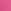 Camellia Pink