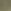 أخضر زيتوني