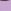 Lilac Snail