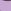 Lilac Snail