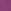 Purple Fuschia