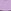 Lilac Snail