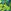 Blue/Green