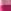 Pink Stripe