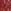 Burgundy Red