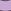 Lilac Snail