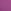 Purple Fuschia