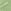 Pixi Green