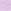 Lush Lavender