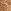 Nude 2