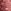 Burgundy Red