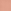 Chrysanthemum Pink