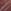 Medium Brown