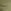 Khaki Green
