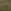 Green Khaki