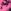 Black/Pink Tie Dye