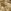 Ochre Yellow