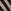 Studio Stripe Velvet Sand and Black