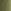 Khaki Green New York