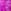 Bright Purple