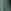 Eucalyptus Green