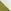 Green/Ecru