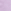 Lilac purple